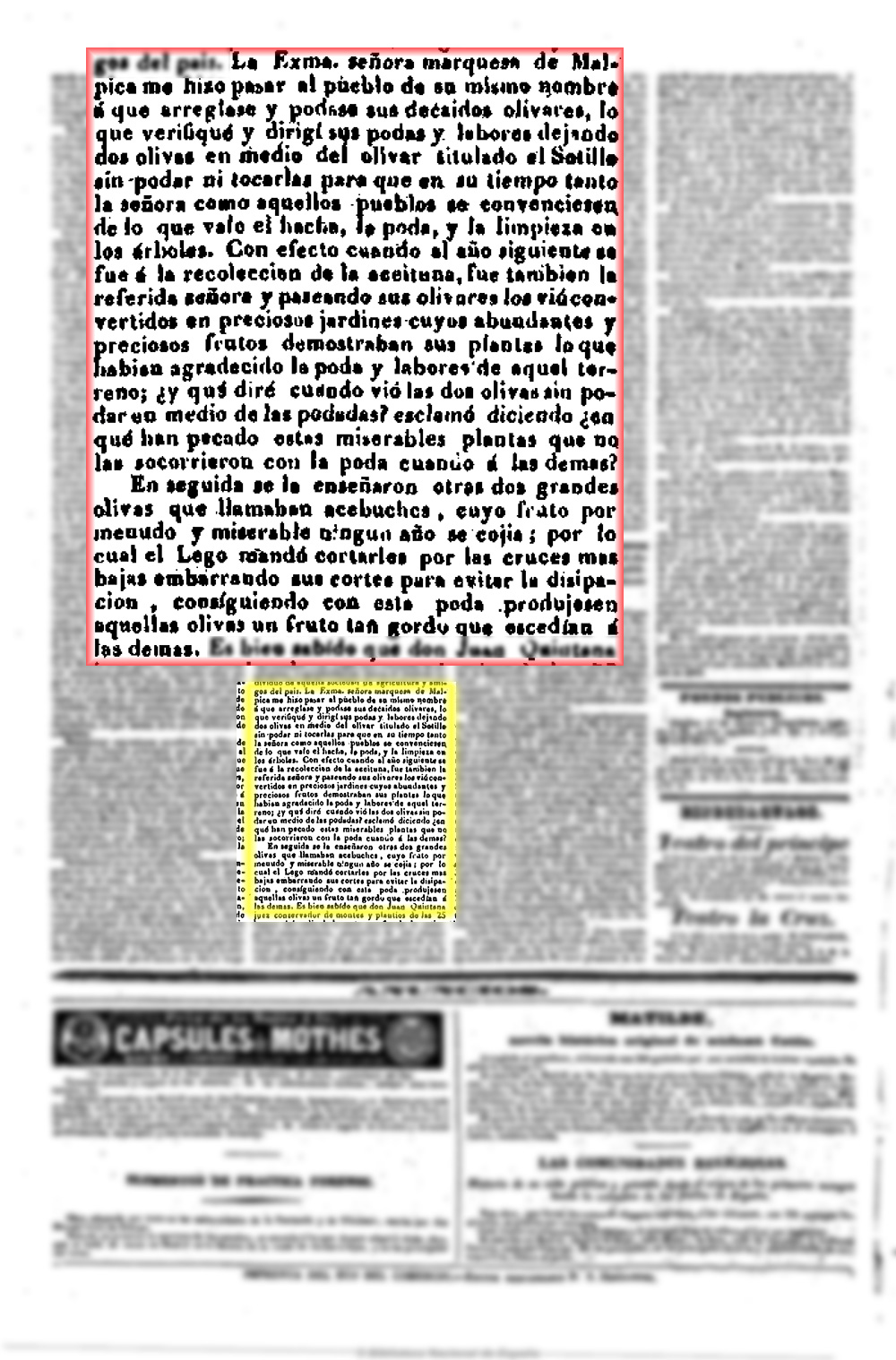 El Eco del comercio 10/10/1842, n.º 40, página 4, Demostración de la poda en el olivar del Sotillo de Malpica de Tajo propiedad del marqués del mismo nombre