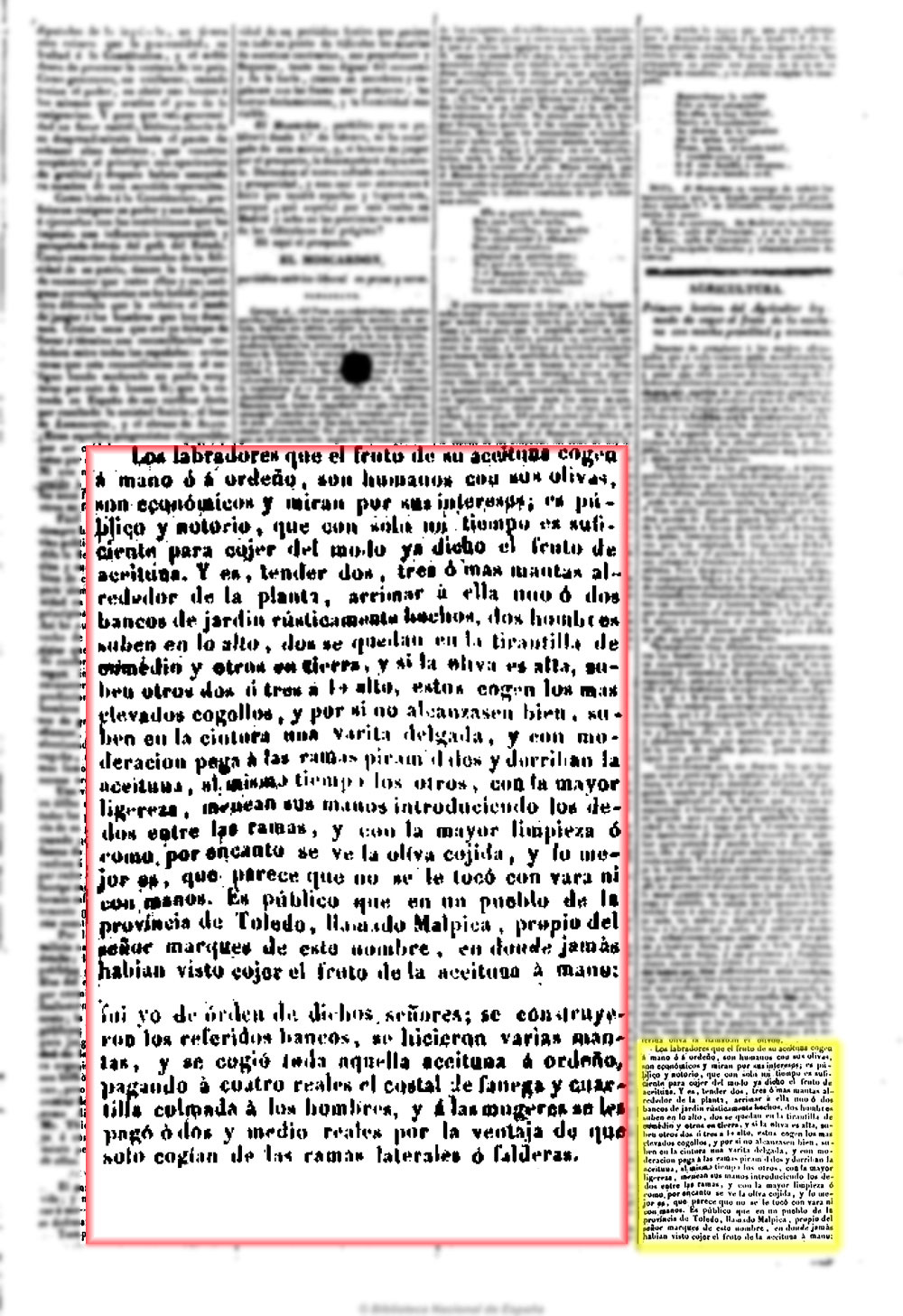 El Eco del comercio 29/1/1844. Recolección de la aceituna a mano