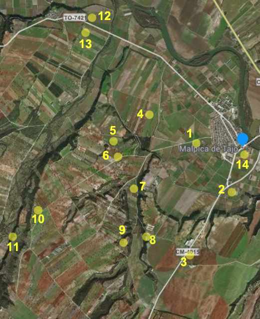 Lugares en que se han notificado posibles restos prehistóricos en Malpica de Tajo 