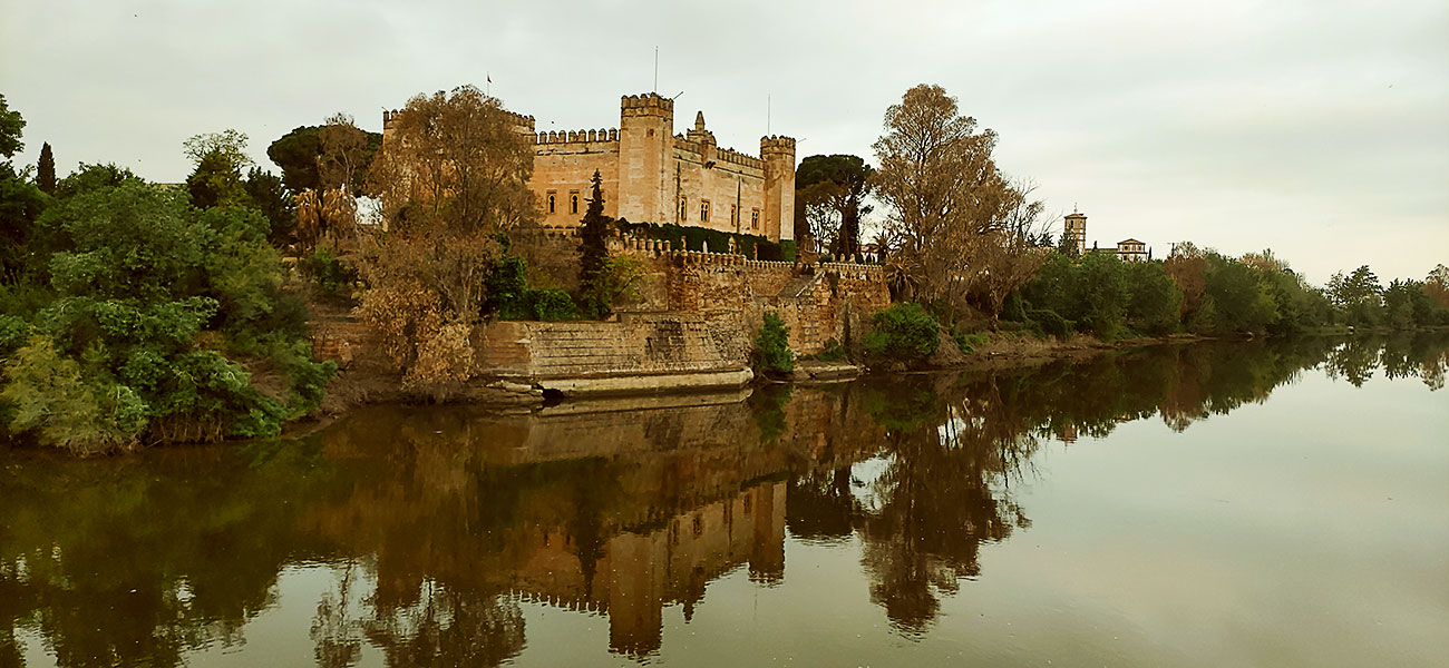 Castillo de Malpica de Tajo