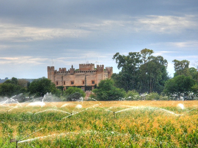 Castillo de Malpica de Tajo y maíz regándose