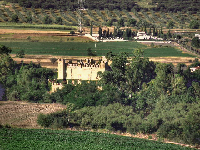Castillo de Malpica de Tajo(vista norte)