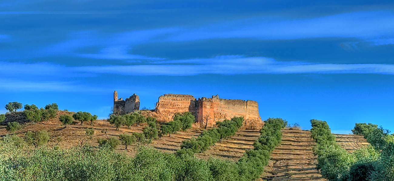 Castillo Villaba desde el camino de acceso sudoeste- Cebolla - Malpica de Tajo