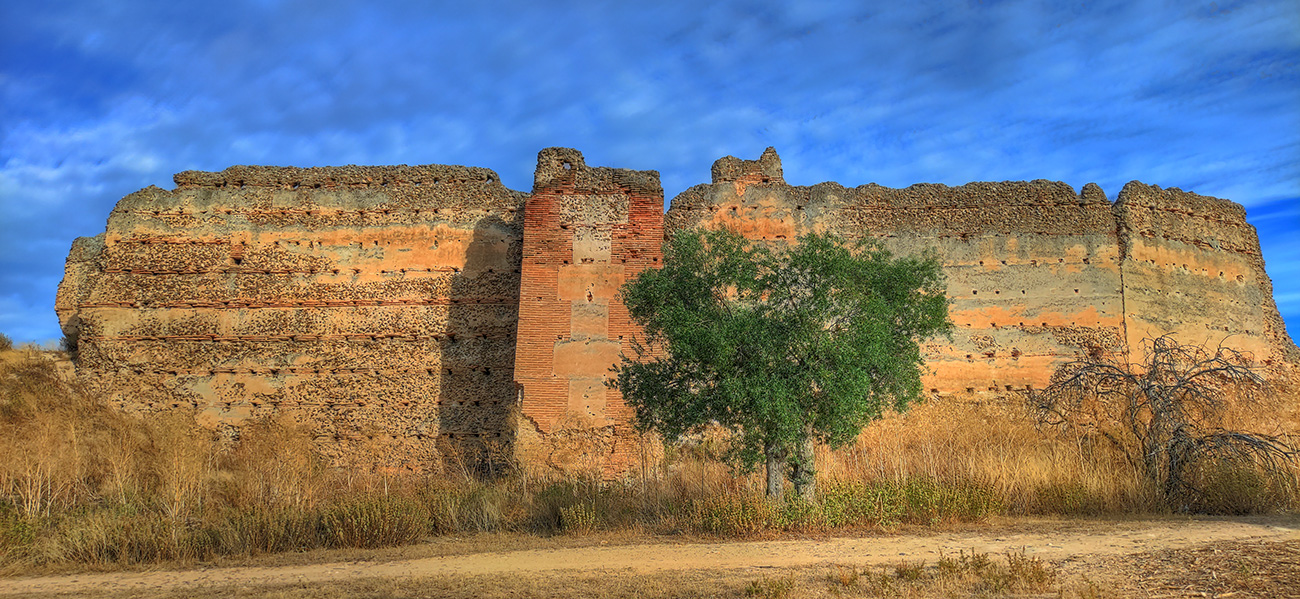 Vista de la muaralla SE. del Castillo Villaba- Cebolla - Malpica de Tajo