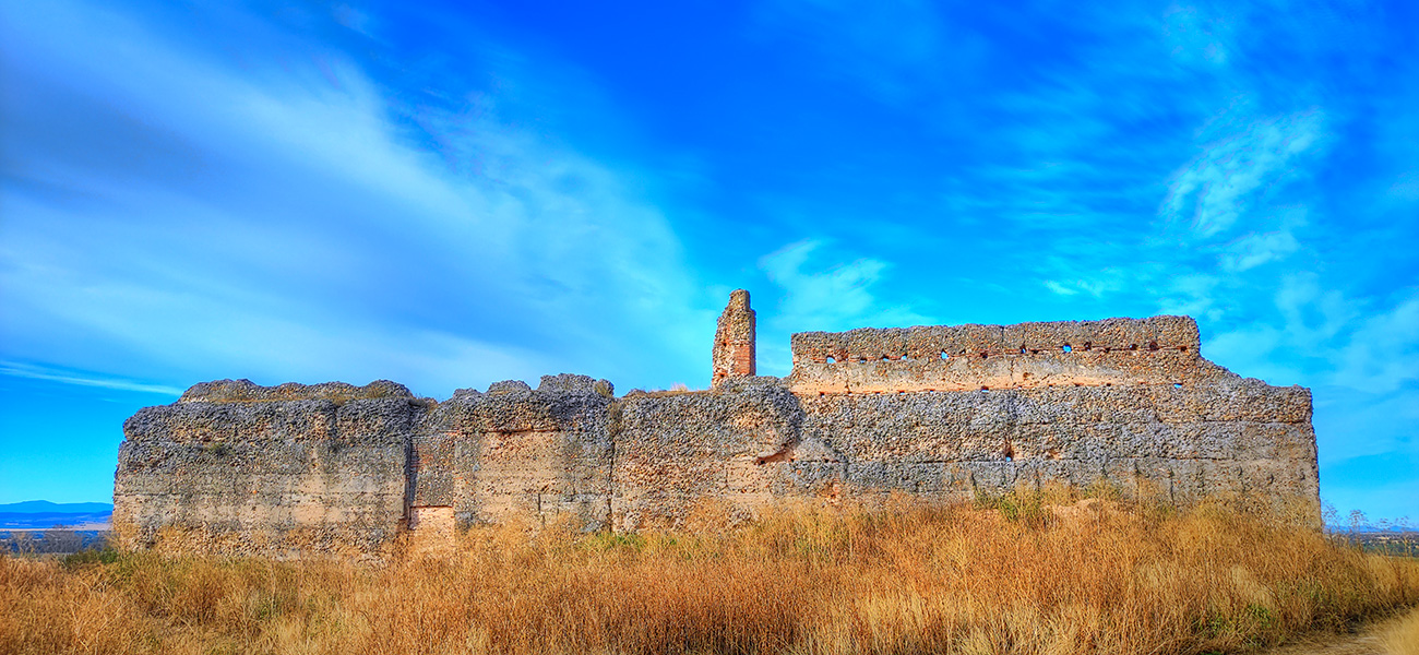 Muralla sur del Castillo Villaba vista desde el interior (Cebolla - Malpica de Tajo)