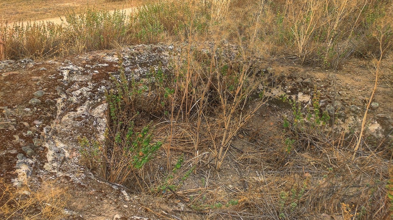 Posible torre albarrana pentagonal en el Castillo de Villaba - Cebolla - Malpica de Tajo