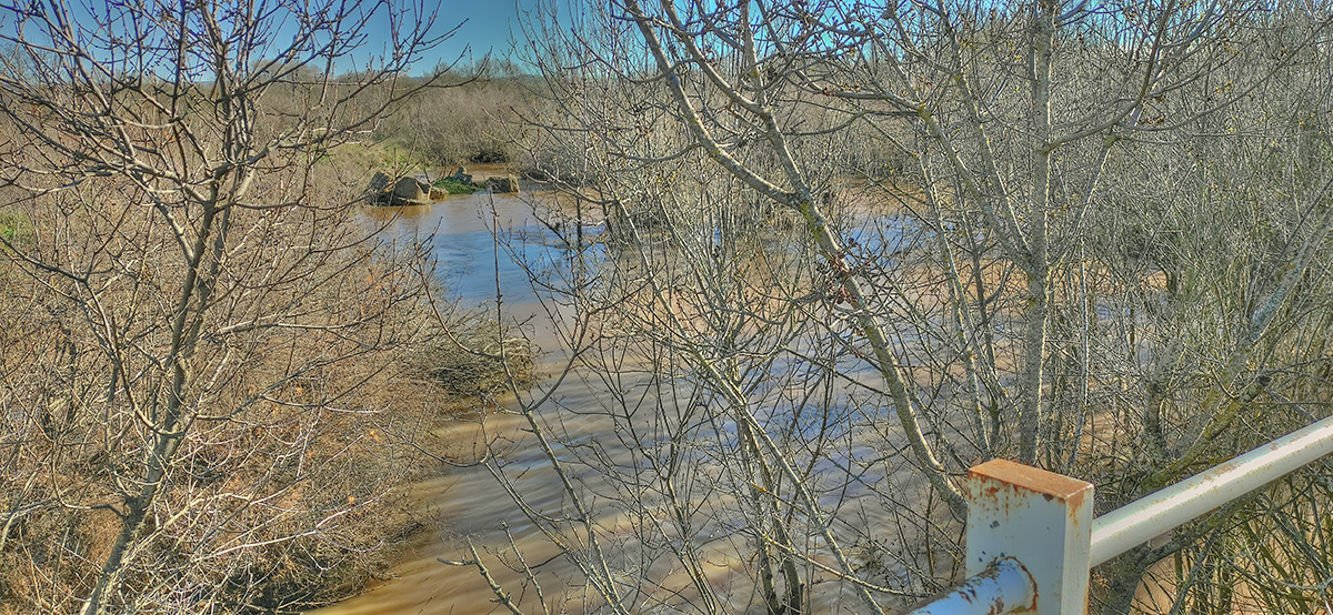 El arroyo Cedena en Malpica de Tajo, el 20-01-24