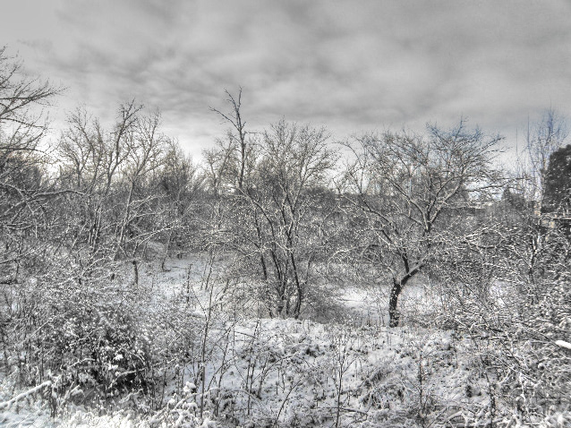 El "otro lado" del Tajo tras la nevada, Malpica de Tajo