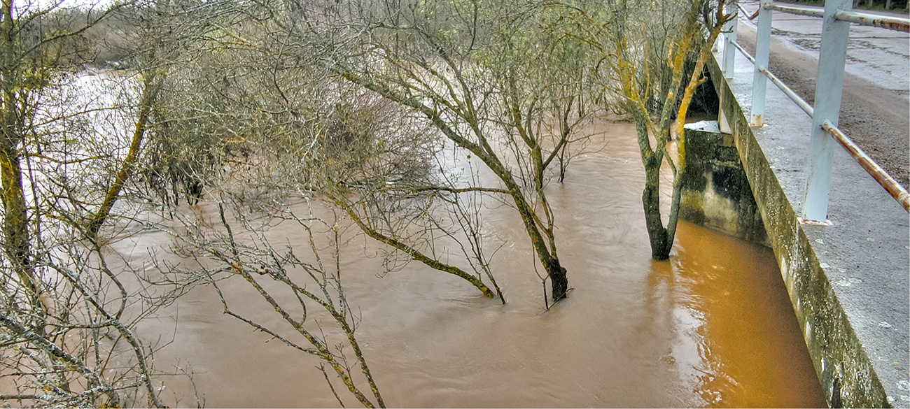 Nivel de las aguas del arroyo Cedena tras la crecida de marzo de 2025 Nivel de las aguas del arroyo Cedena tras la crecida de marzo de 2025