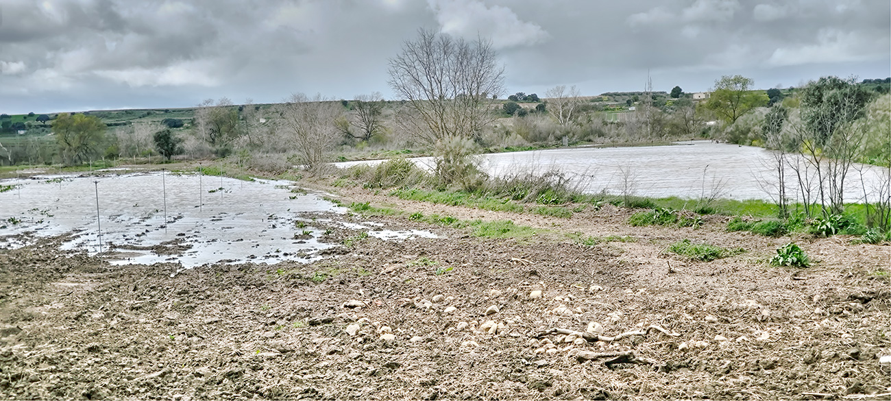 Nivel de las aguas del arroyo Pusa el 22 de marzo de 2025 Nivel de las aguas del arroyo Pusa el 22 de marzo de 2025