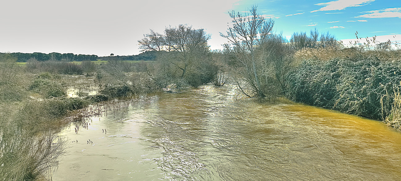 Nivel de las aguas del arroyo Pusa el 8 de febrero de 2026