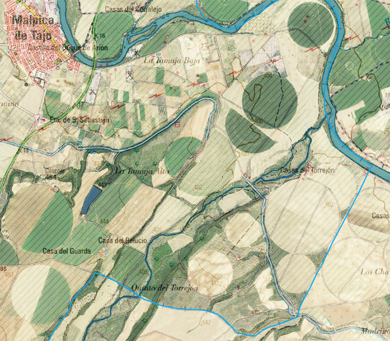 Ortofoto del límite del término municipal de Malpica de Tajo desde el Torrejon hasta el Relucío