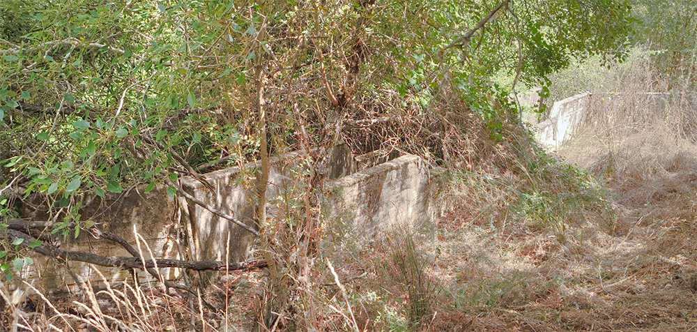 Baño de las borras, quinto de Tapias, Malpica de Tajo