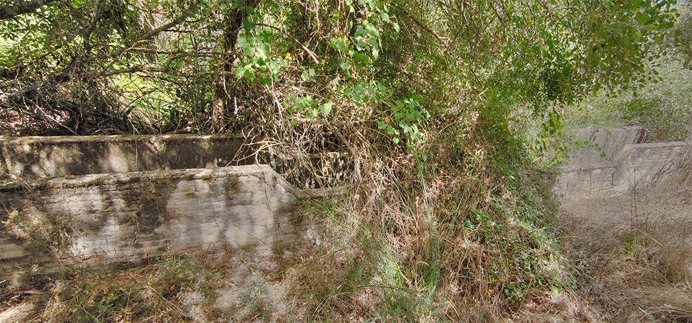 Baño de las borras, quinto de Tapias, Malpica de Tajo