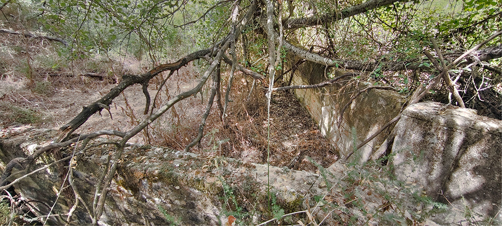 Baño de las borras, quinto de Tapias, Malpica de Tajo