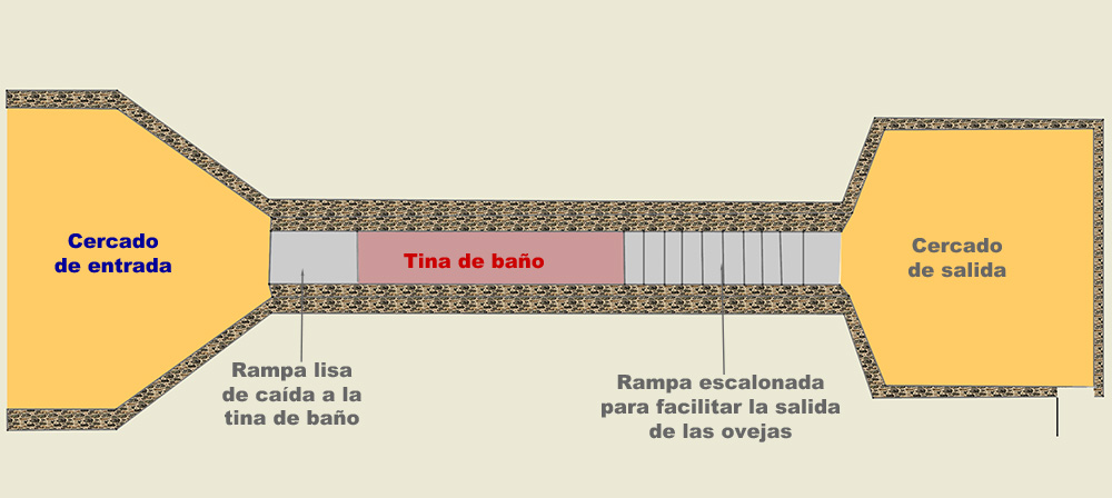 Baño de las borras, esquema de la planta