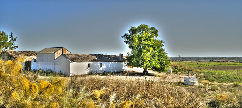 Labranza de las Tamujas