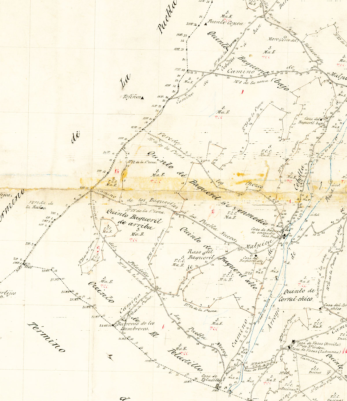 Mapa sobre el término de Malpica de Tajo del Instituto Geográfico y Estadístico (IGE) publicado en 1882