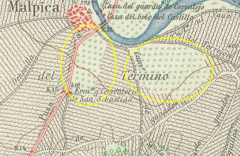 Los olivares en el mapa del IGE de 1952