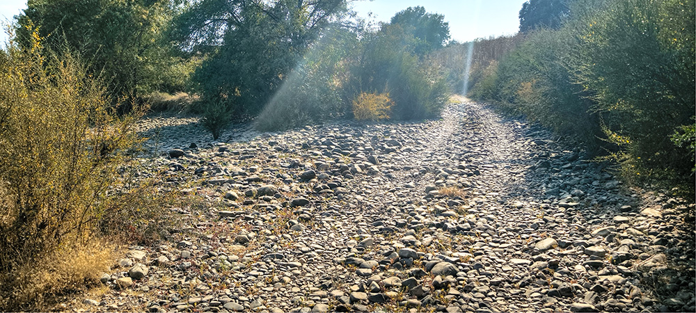 Pasil de la labranza del Vaqueril de en Medio, Malpica de Tajo