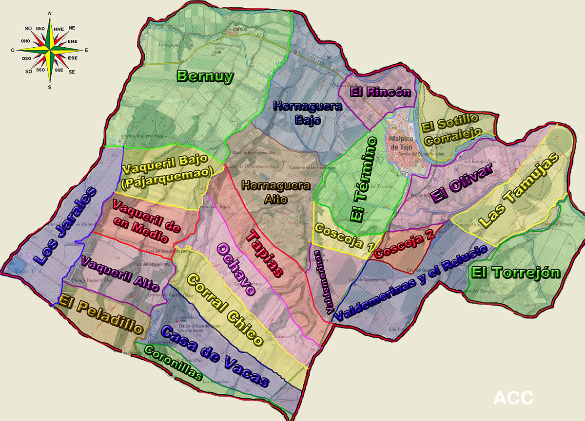 Demarcación juridiccional de Malpica de Tajo en sus quintos