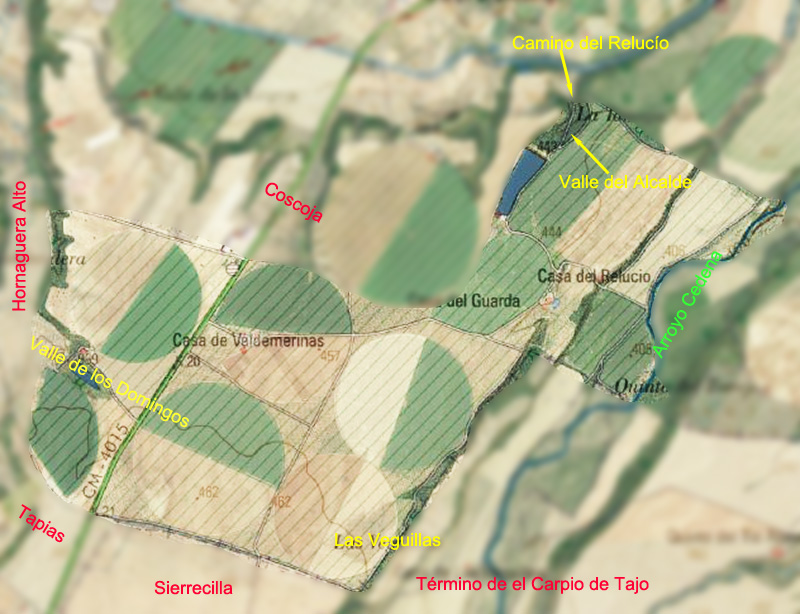 Valdemerina y el Relucío